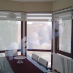 Görüntü0033